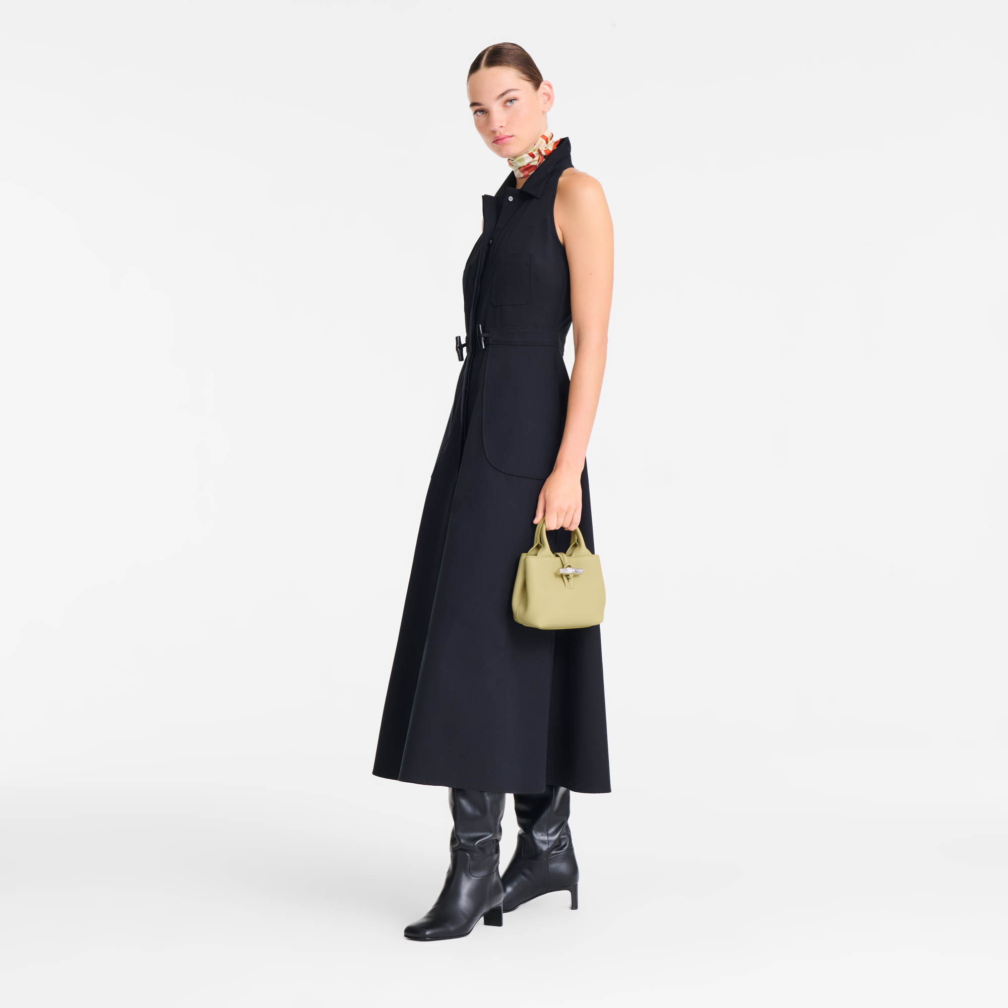Longchamp Le Roseau XS Handbag Pistachio