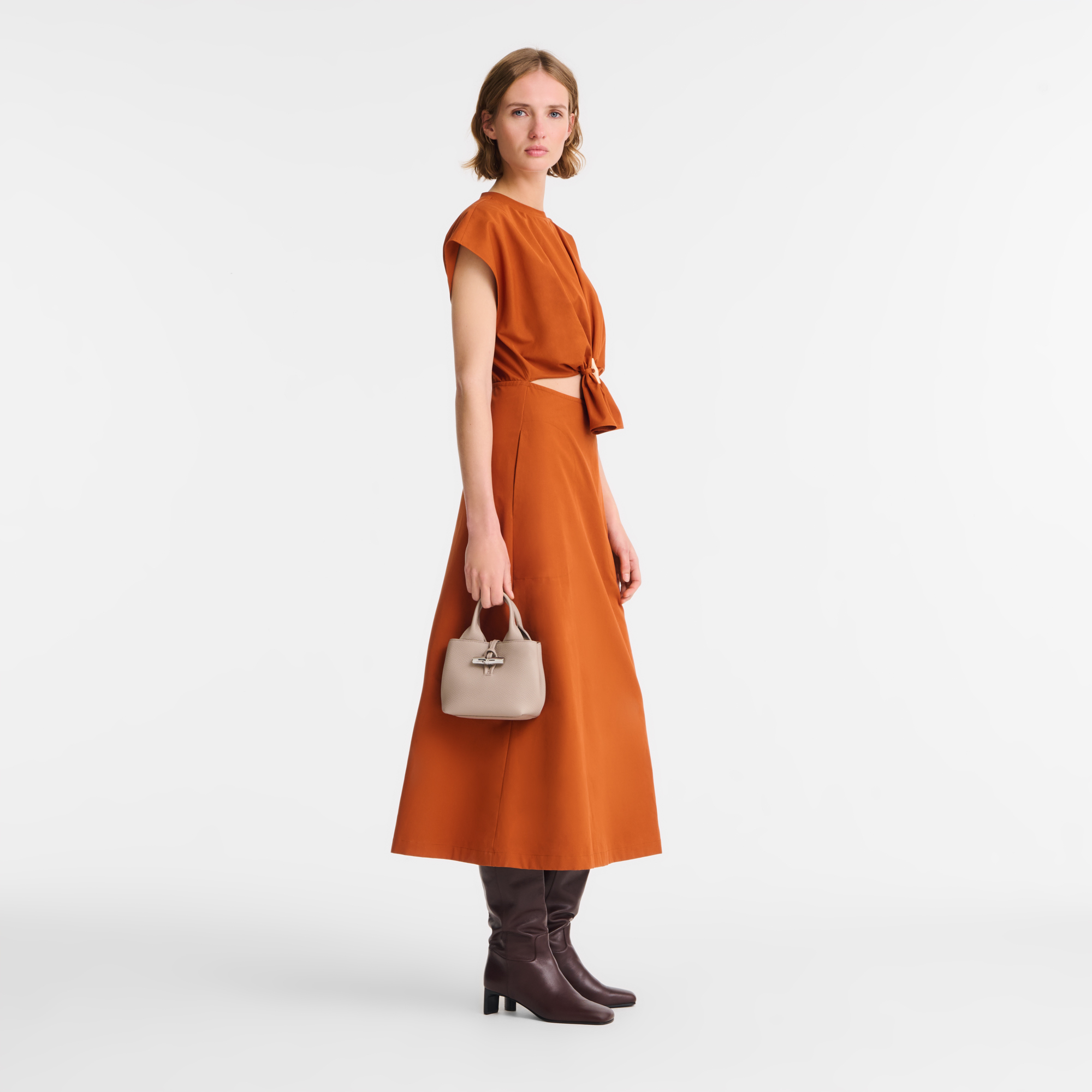 Longchamp Le Roseau XS Handbag Clay