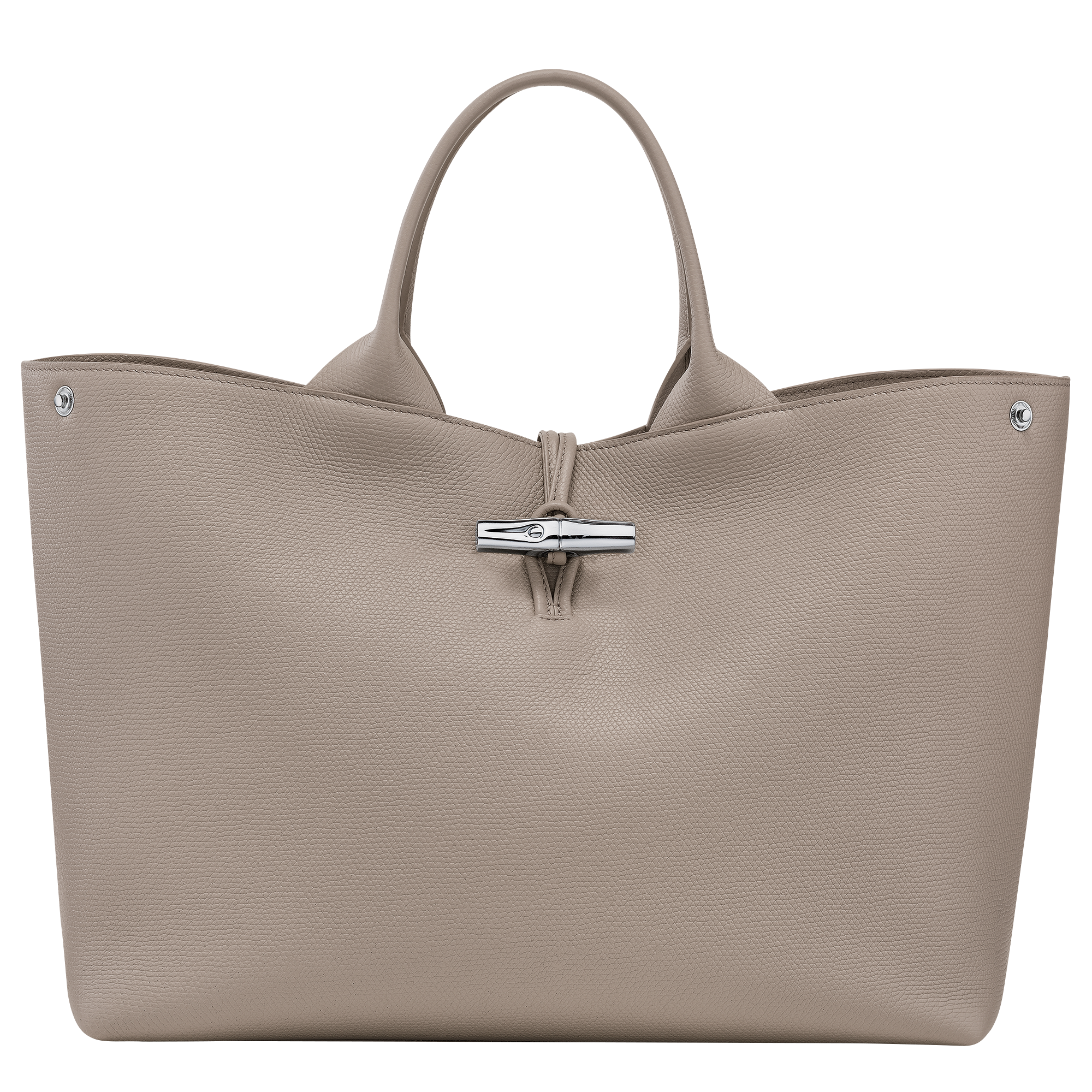 Longchamp Le Roseau L Handbag Clay