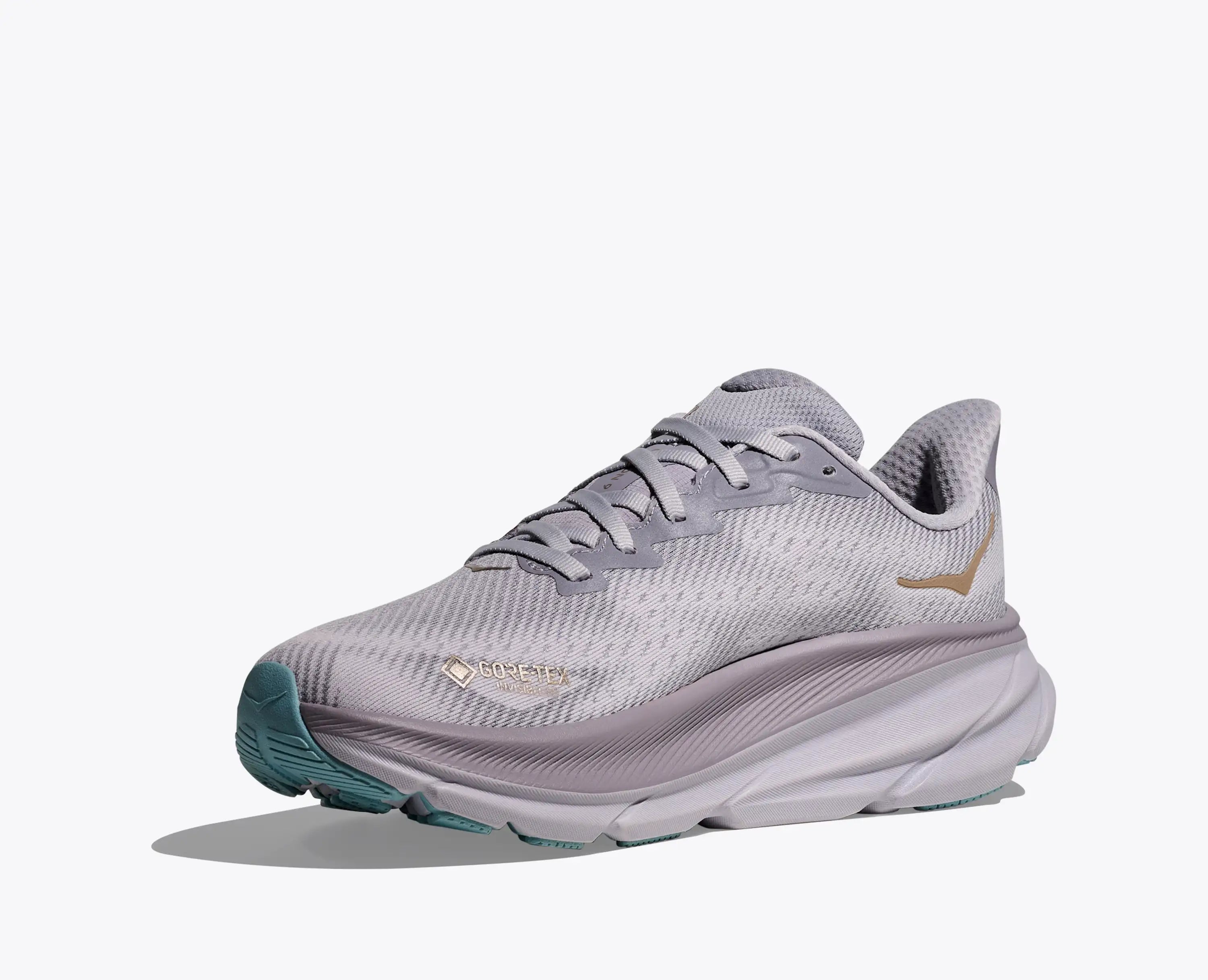 Hoka Women'S Clifton 9 Gtx Foggy Grey Ash Grey