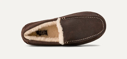 Ugg Ascot Leather Distressed Dusted Cocoa