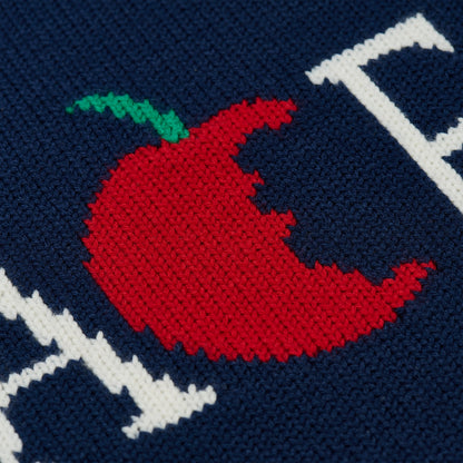 Palace Skateboards BIG Apple KNIT NAVY