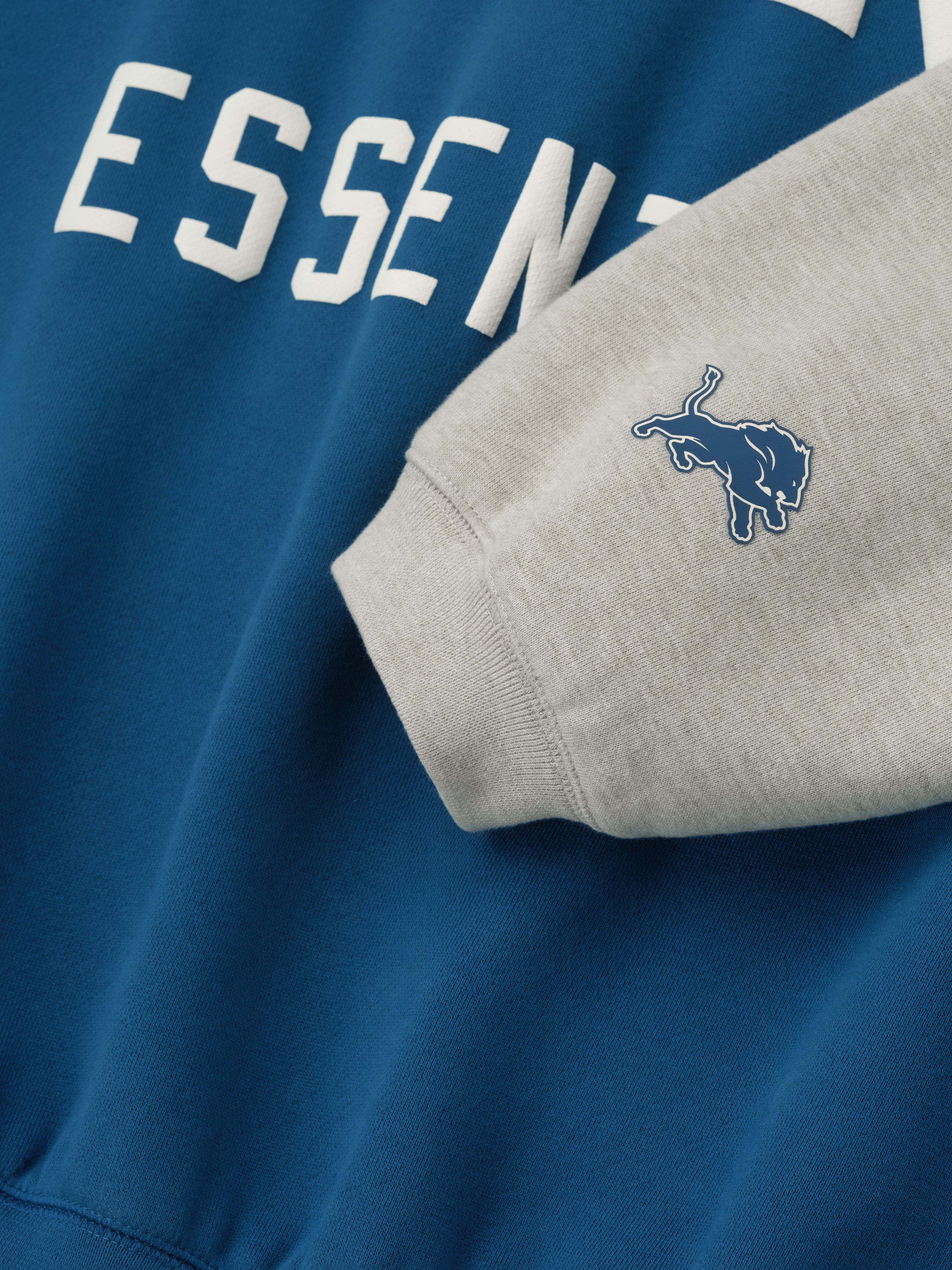 Essentials Lions Sport Hoodie Blue Sapphire/ Heather Stone