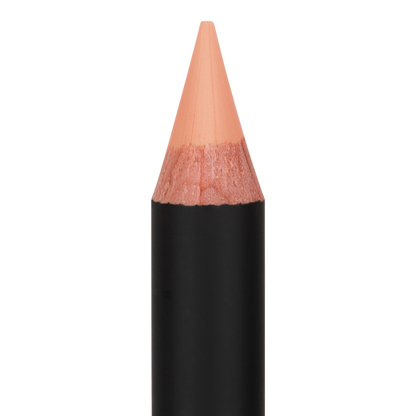 Anastasia Beverly Hills Highlighting & Concealing Pro Pencil