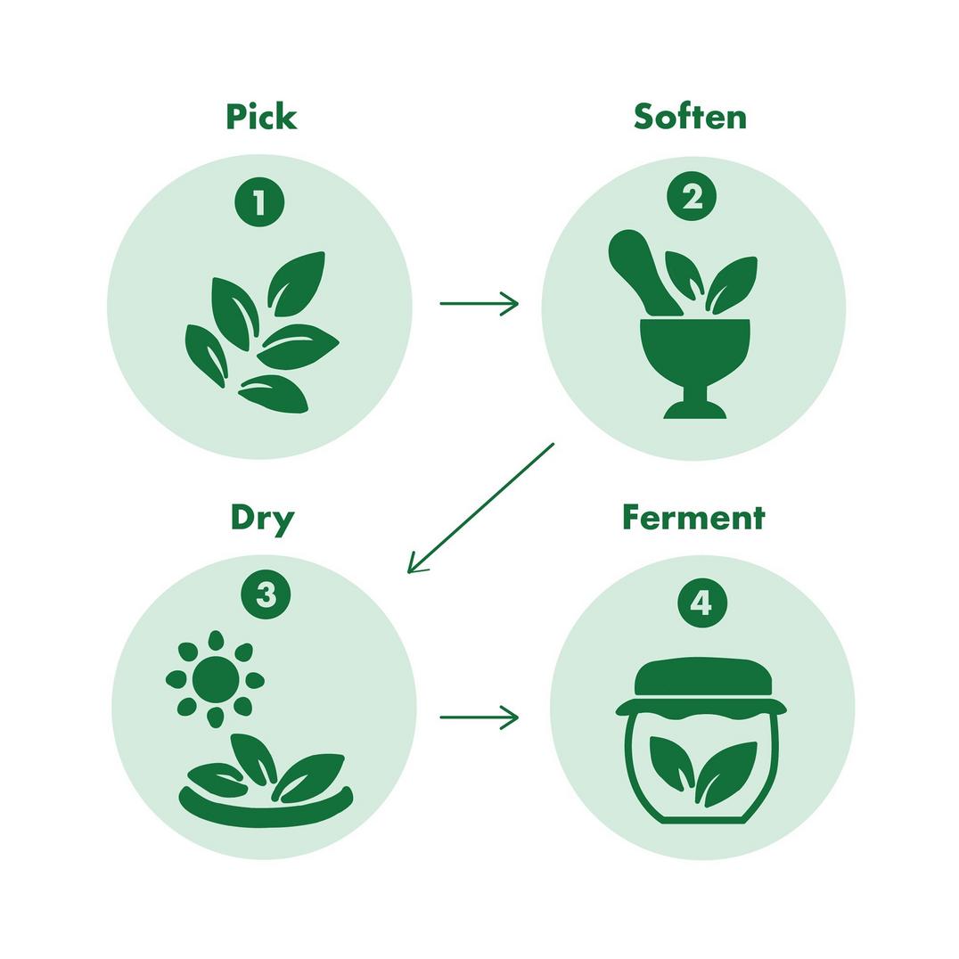 TONYMOLY The Chok Chok Green Tea Cleansing Water