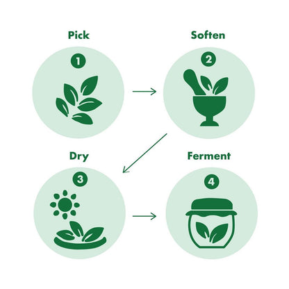 TONYMOLY The Chok Chok Green Tea Cleansing Water