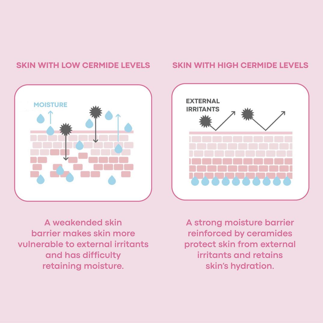 TONYMOLY Wonder Ceramide Mochi Toner