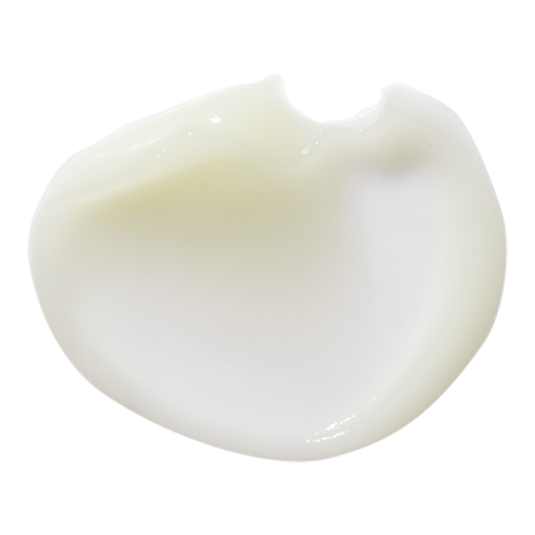 Erborian Bamboo Cream Frappee