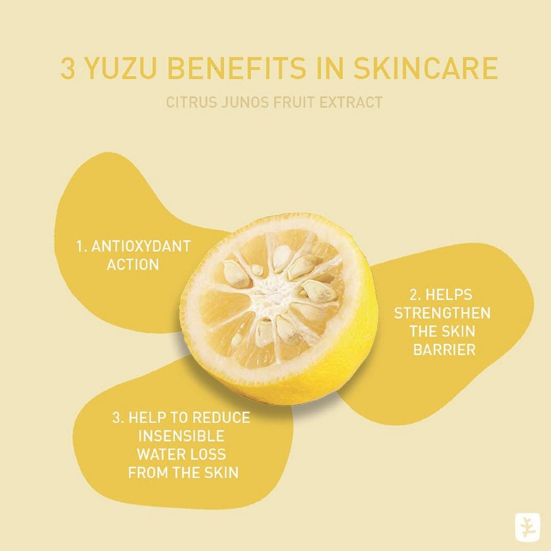 Erborian Yuza Sorbet Eye Radiance Eye Serum