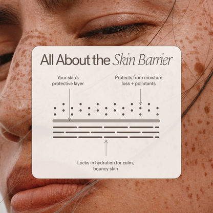 ILIA Barrier Build Skin Protectant Cream