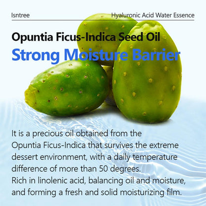 Isntree Hyaluronic Acid Water Essense