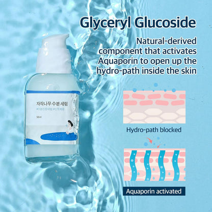 ROUND LAB Birch Juice Moisturizing Serum