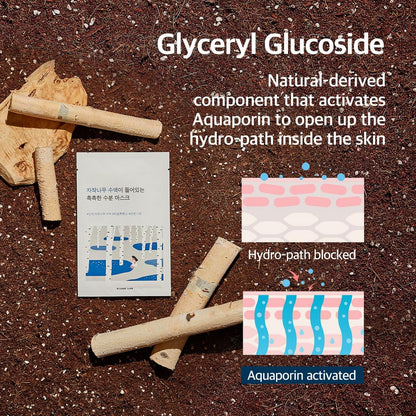 ROUND LAB Birch Juice Moisturizing Mask Set