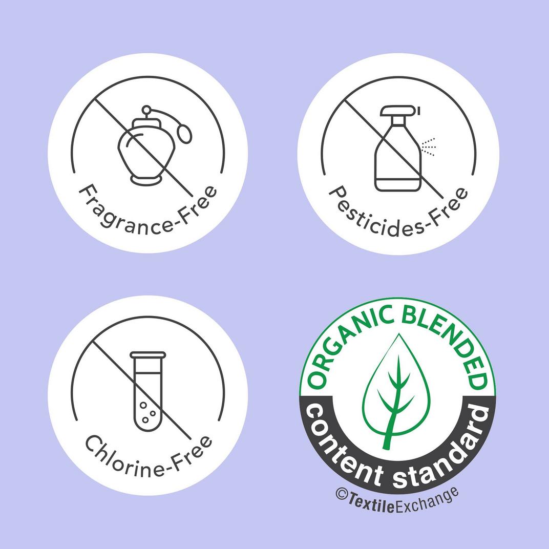 Rael Disposable Period Underwear