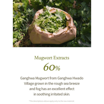 I'm From Mugwort Gel Cleanser