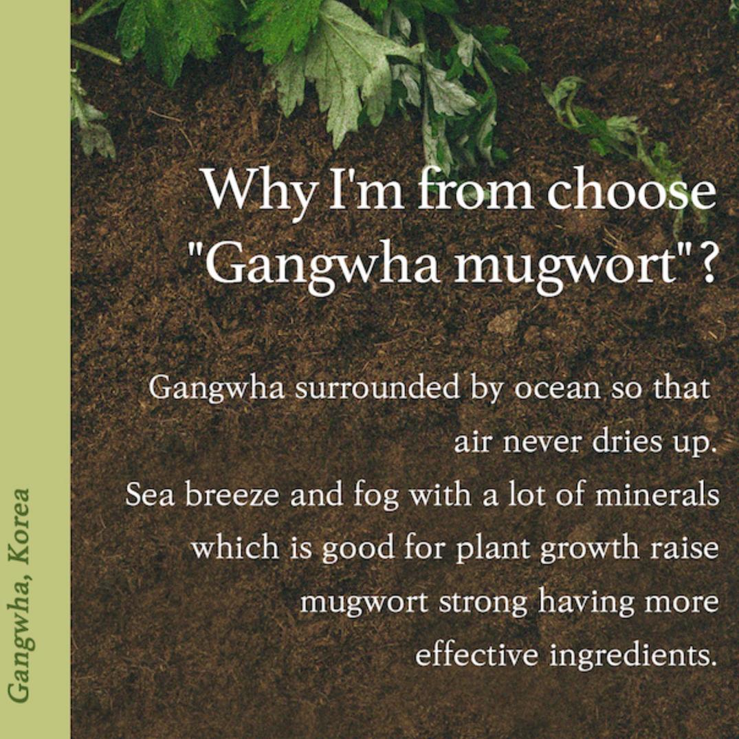 I'm From Mugwort Essence