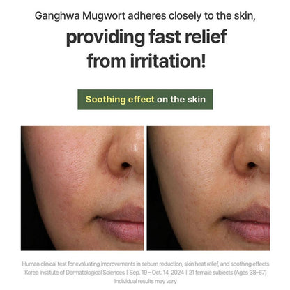 I'm From Mugwort Mask