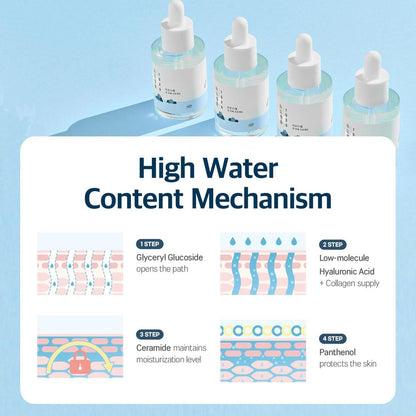 ROUND LAB 1025 Dokdo Ampule