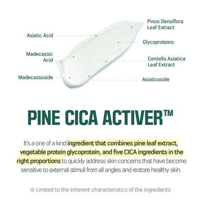 ROUND LAB Pine Calming Cica Cleanser