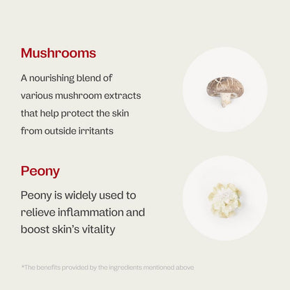 ma:nyo Bifida Ampoule Mist