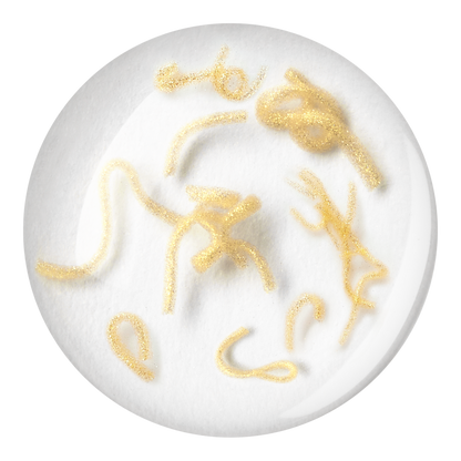 SUNGBOON EDITOR Silk Peptide EGF Intensive Ampoule