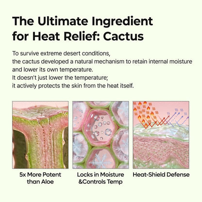 Dr. Melaxin Cactox Pore Relief Multi Balm