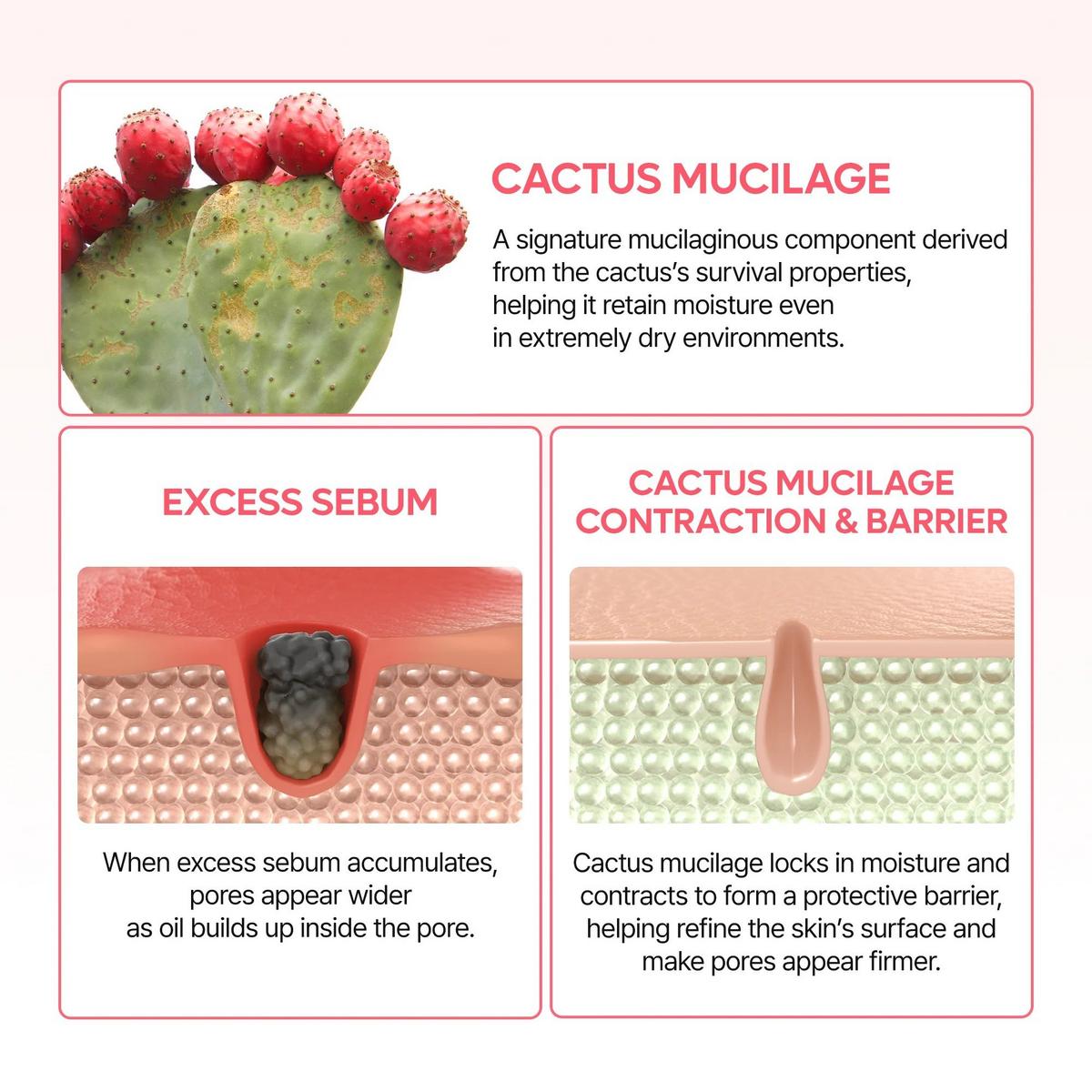 Dr. Melaxin Cactox Pore Relief Dual Capsule Cream