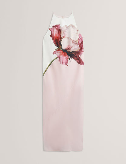 Ted Baker Lowela Bold Floral Print Halterneck Midi Dress Women's