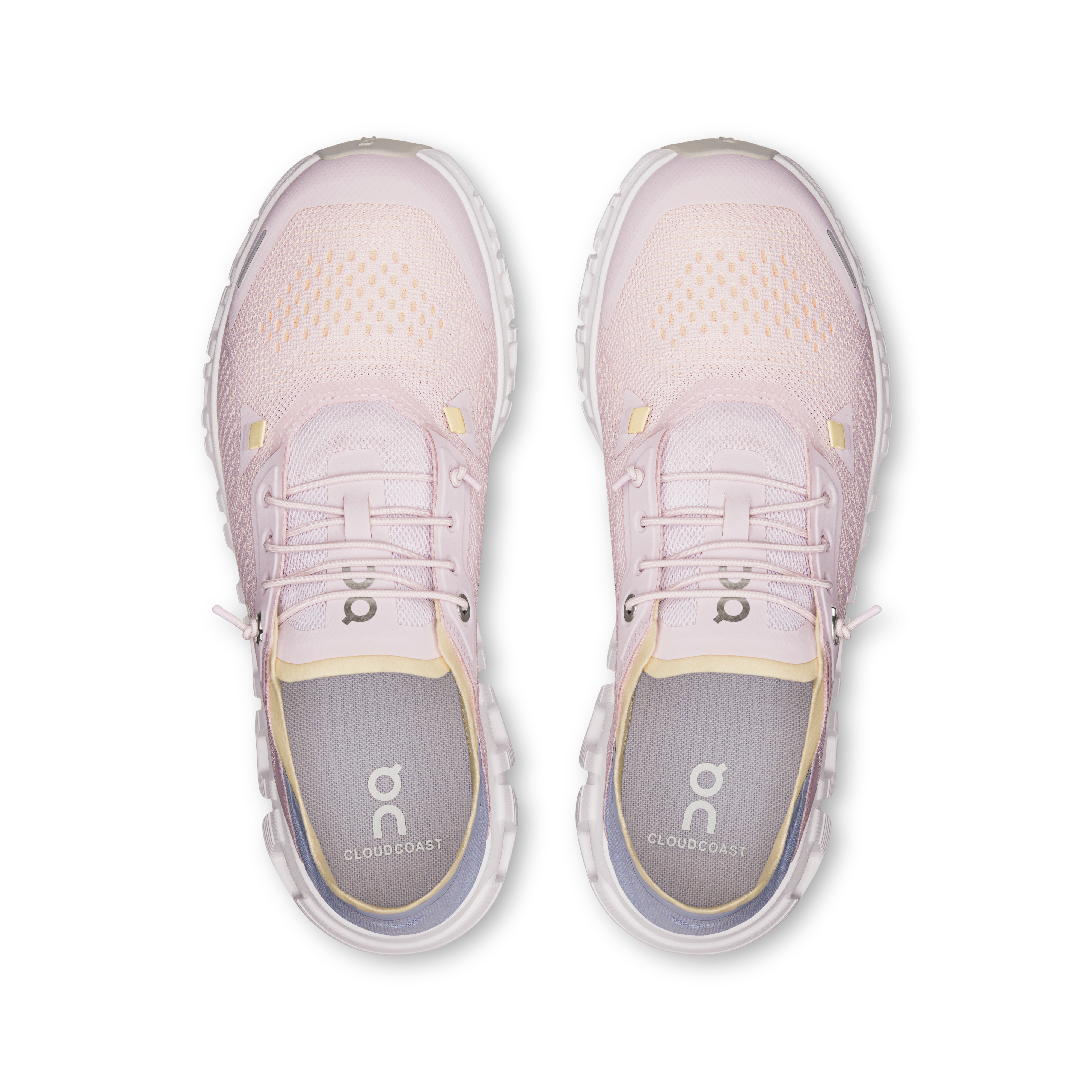 On Cloud 6 Coast Orchid Nimbus (Women'S)