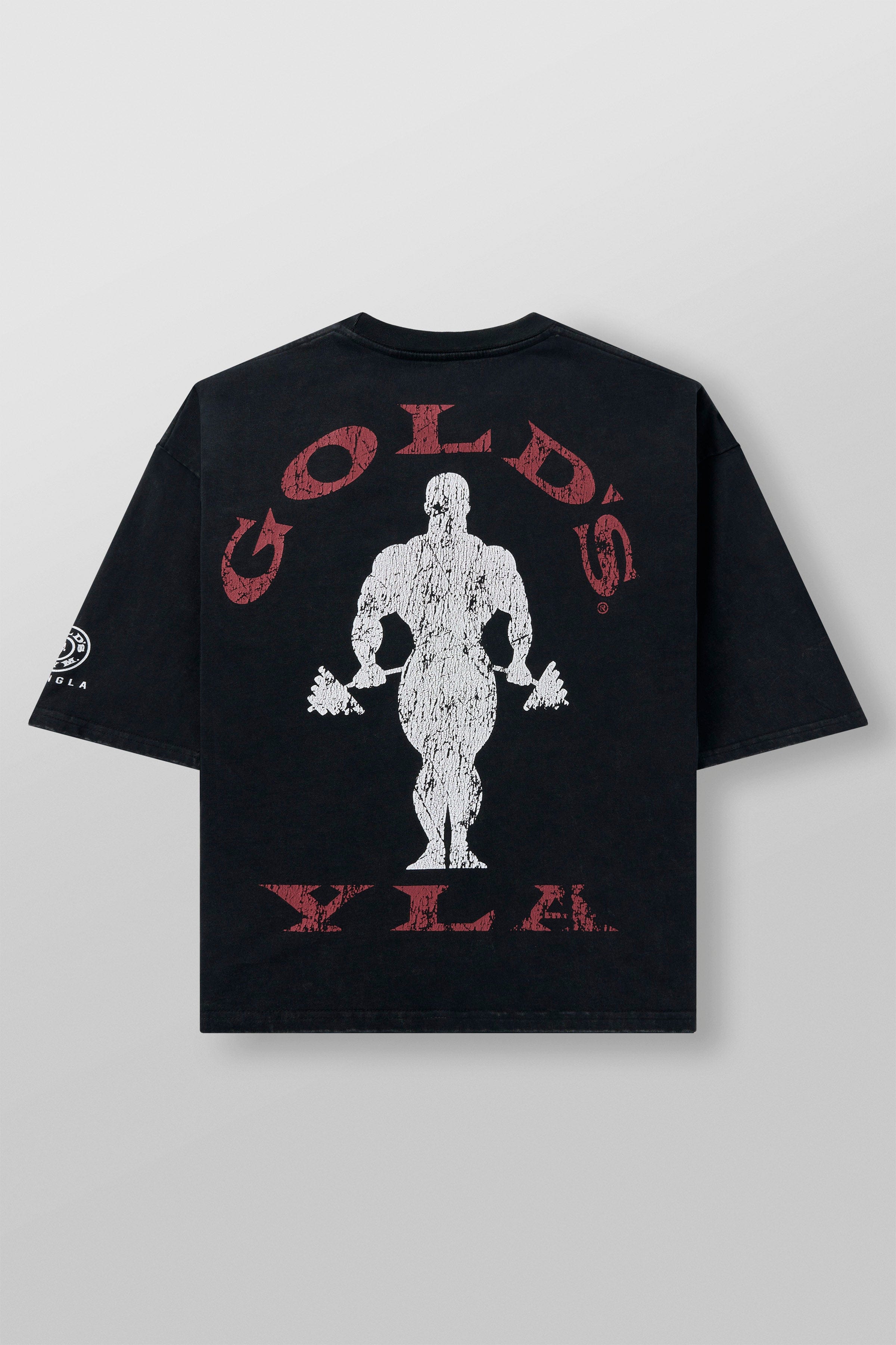 YoungLA 4002 - Golds Gym New Age Tees Black