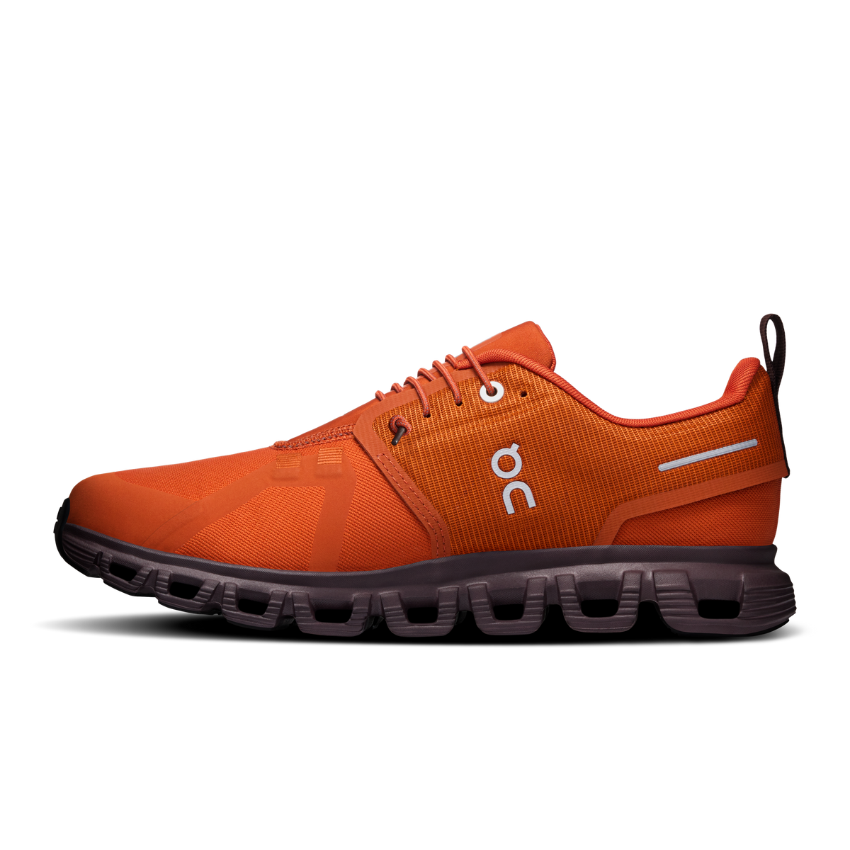 On Cloud 6 Waterproof Cinnamon Ox (Women'S)