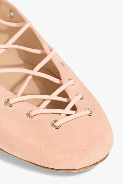 Chlo Ghillies Lace-Up Suede Ballet Flats Blush Women's