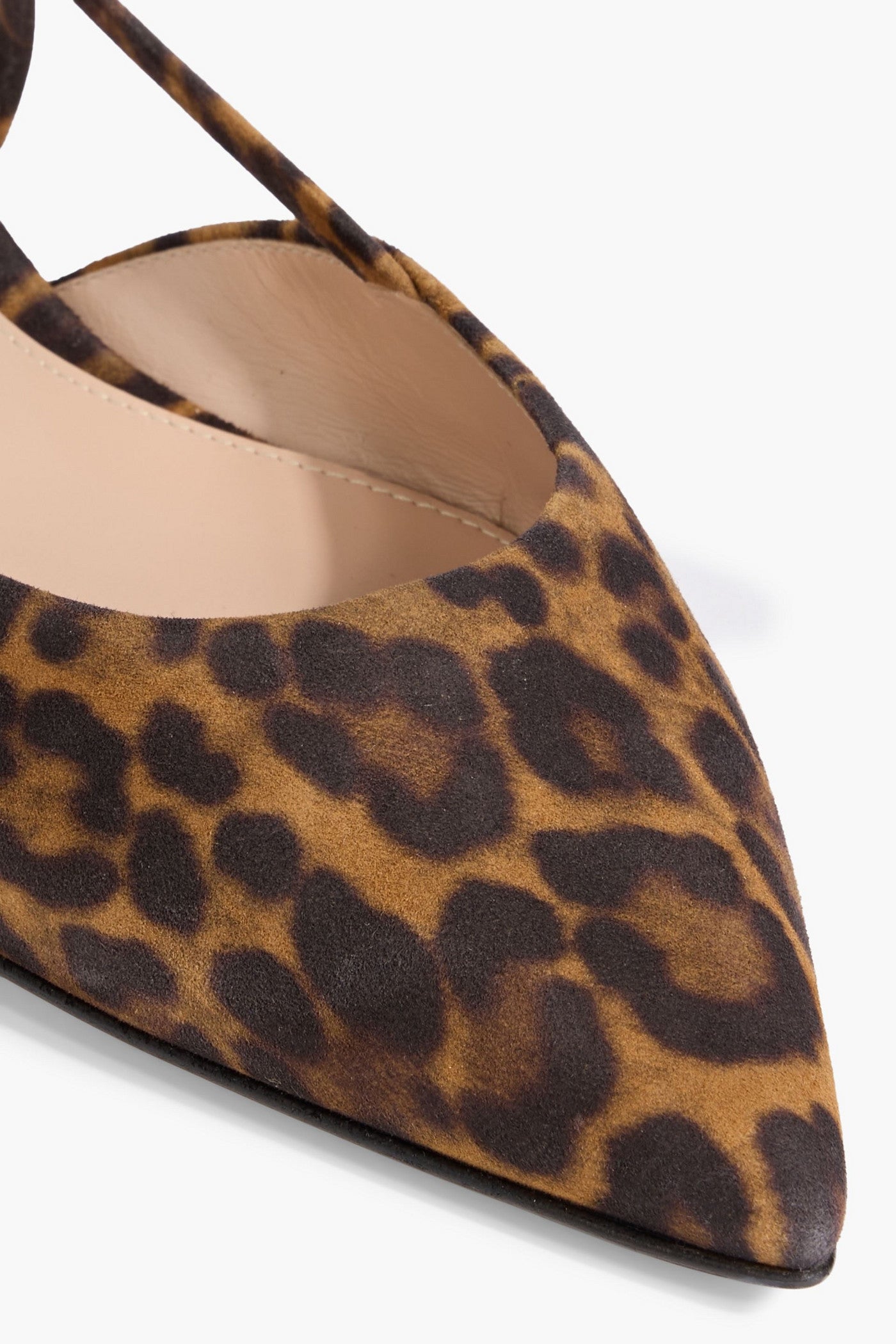 Gianvito Rossi Ascent 05 Leopard-Print Suede Point-Toe Flats Animal Print Women's