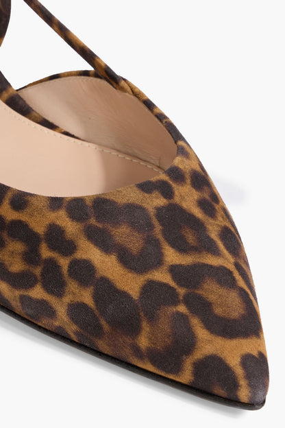 Gianvito Rossi Ascent 05 Leopard-Print Suede Point-Toe Flats Animal Print Women's