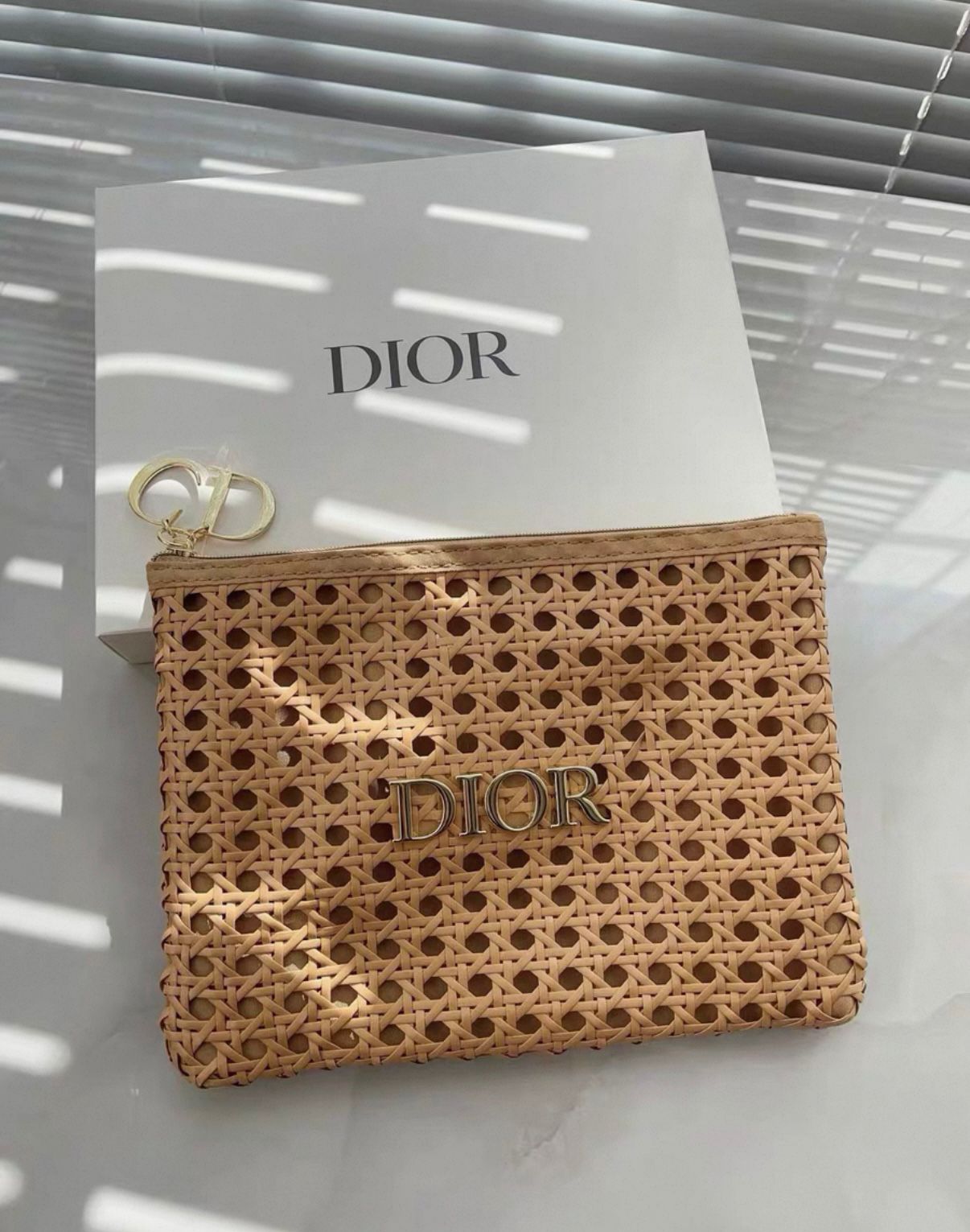 Dior solar escape pouch