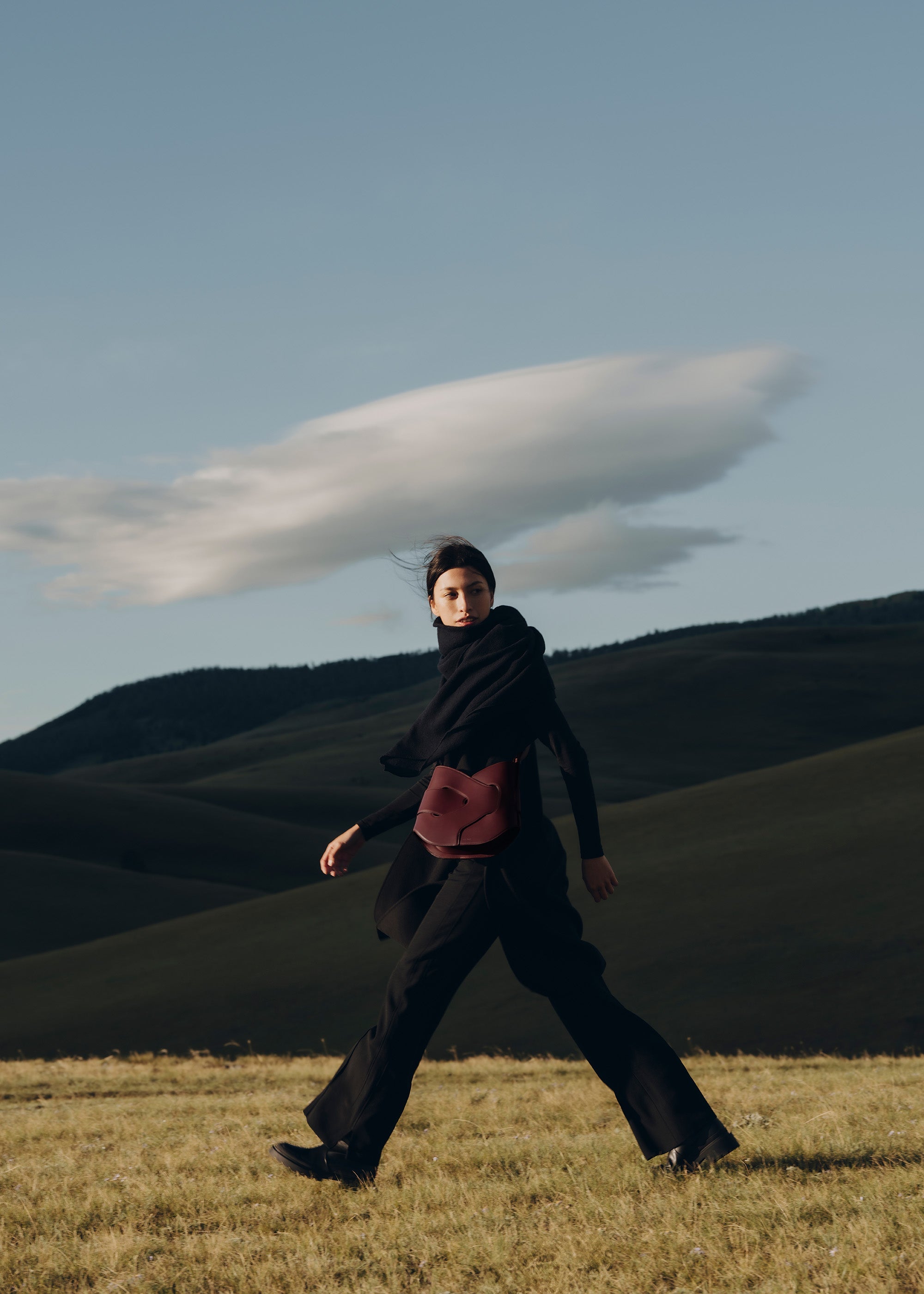 Polene Nodde Hobo Smooth Black Cherry