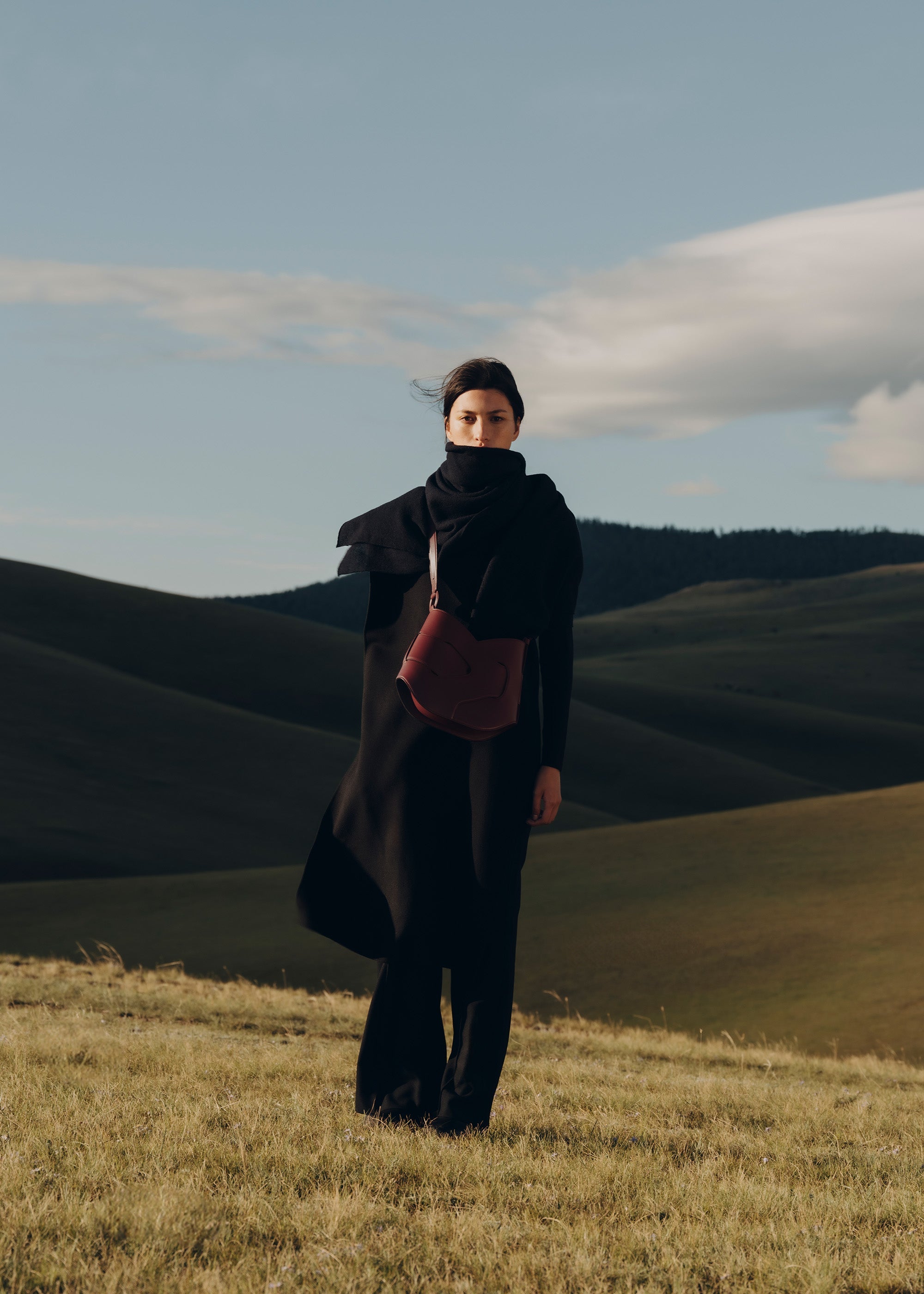 Polene Nodde Hobo Smooth Black Cherry