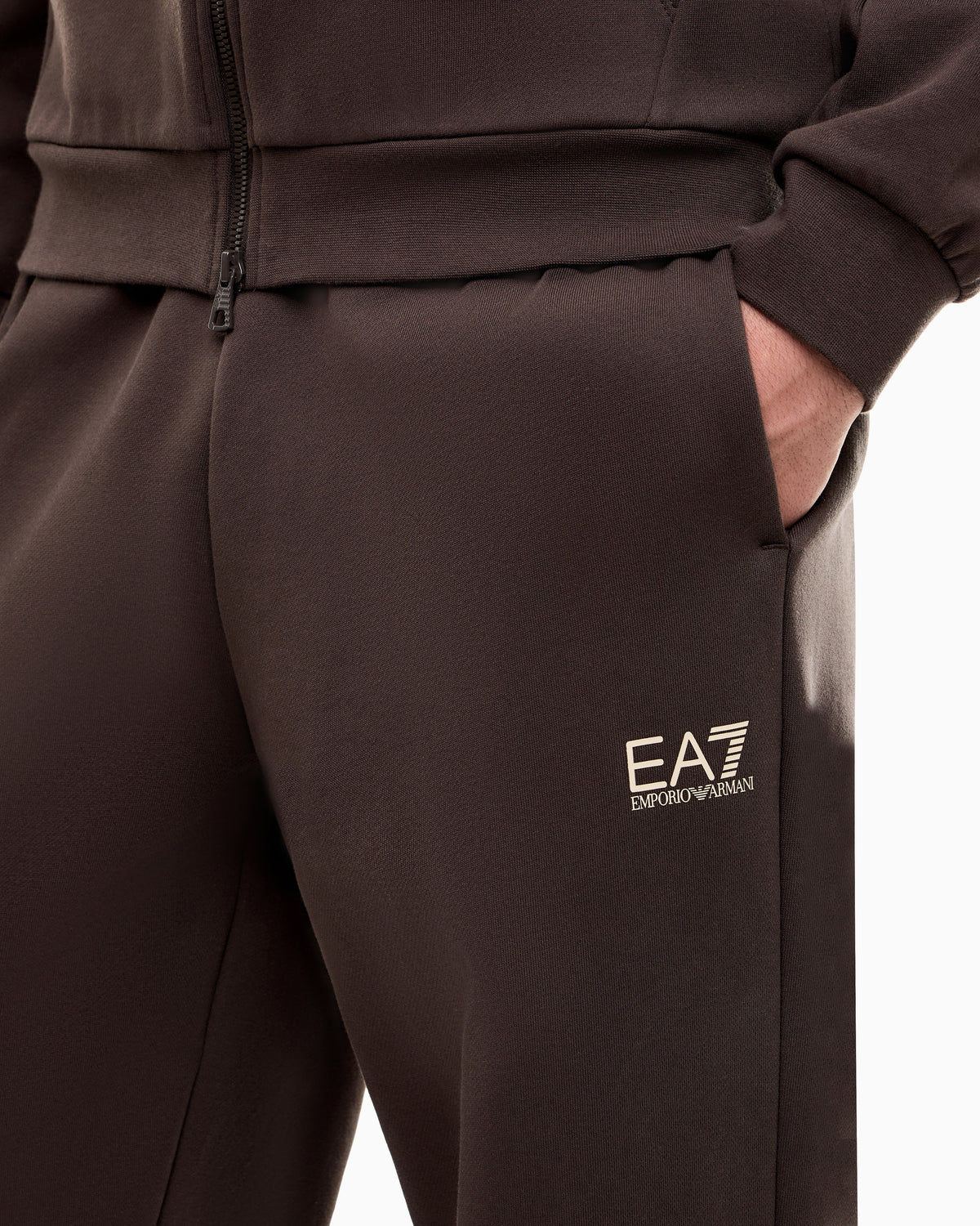 EA7 Tracksuit regular fit cotton jersey with hood and zip