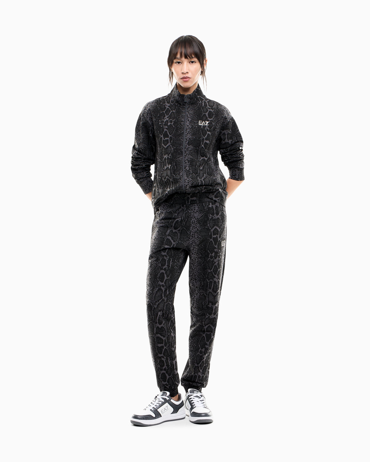 EA7 Regular fit pants Graphic Series in cotton jersey