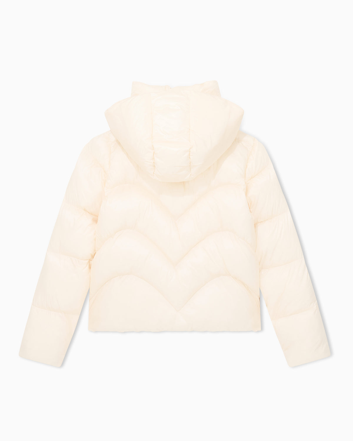 EA7 Bomber jacket regular fit padded