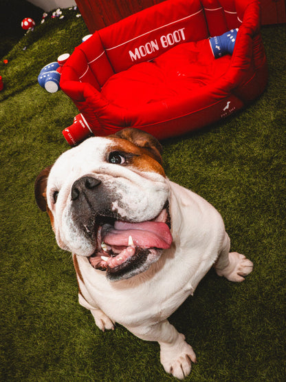 Moon Boot RED Padded DOG BED