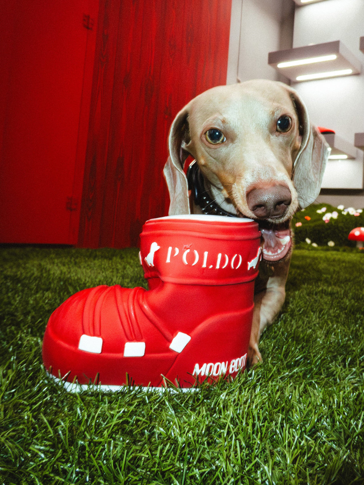 Moon Boot RED Squeaky DOG TOY