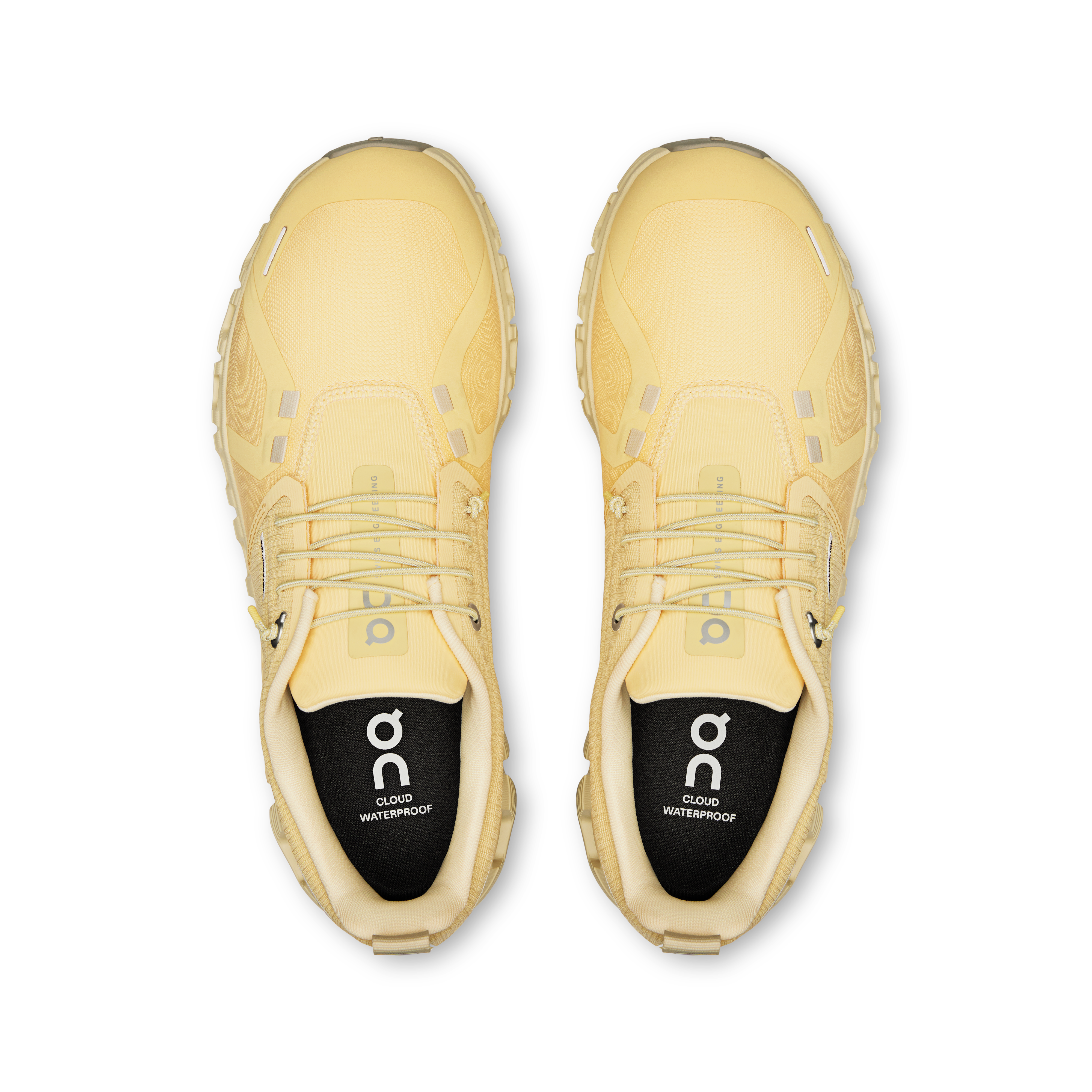 On Cloud 6 Waterproof Nectar Castor (Women'S)