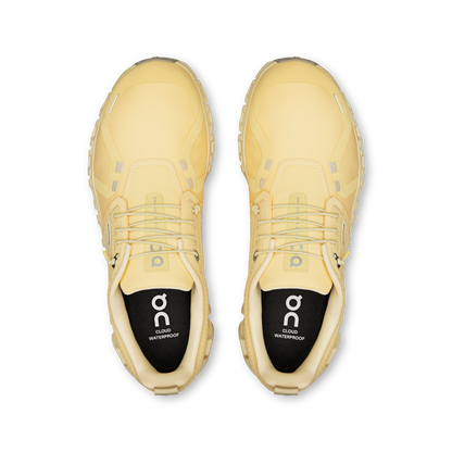 On Cloud 6 Waterproof Nectar Castor (Women'S)