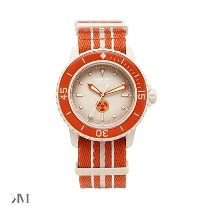 Swatch X Blancpain Arctic Ocean