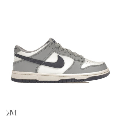 Nike Dunk Low Platinum Tint Light Carbon (Gs)