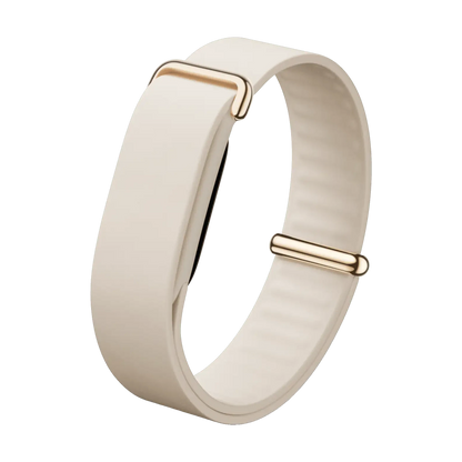 Google Fitbit Air Elevated Modern Band Strap