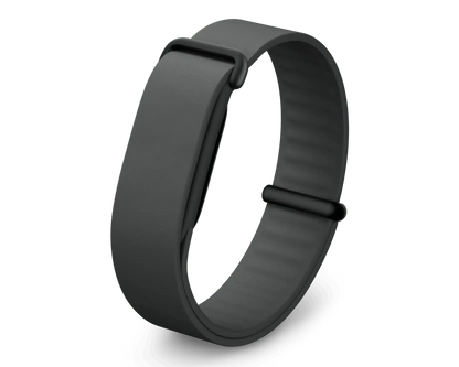 Google Fitbit Air Elevated Modern Band Strap