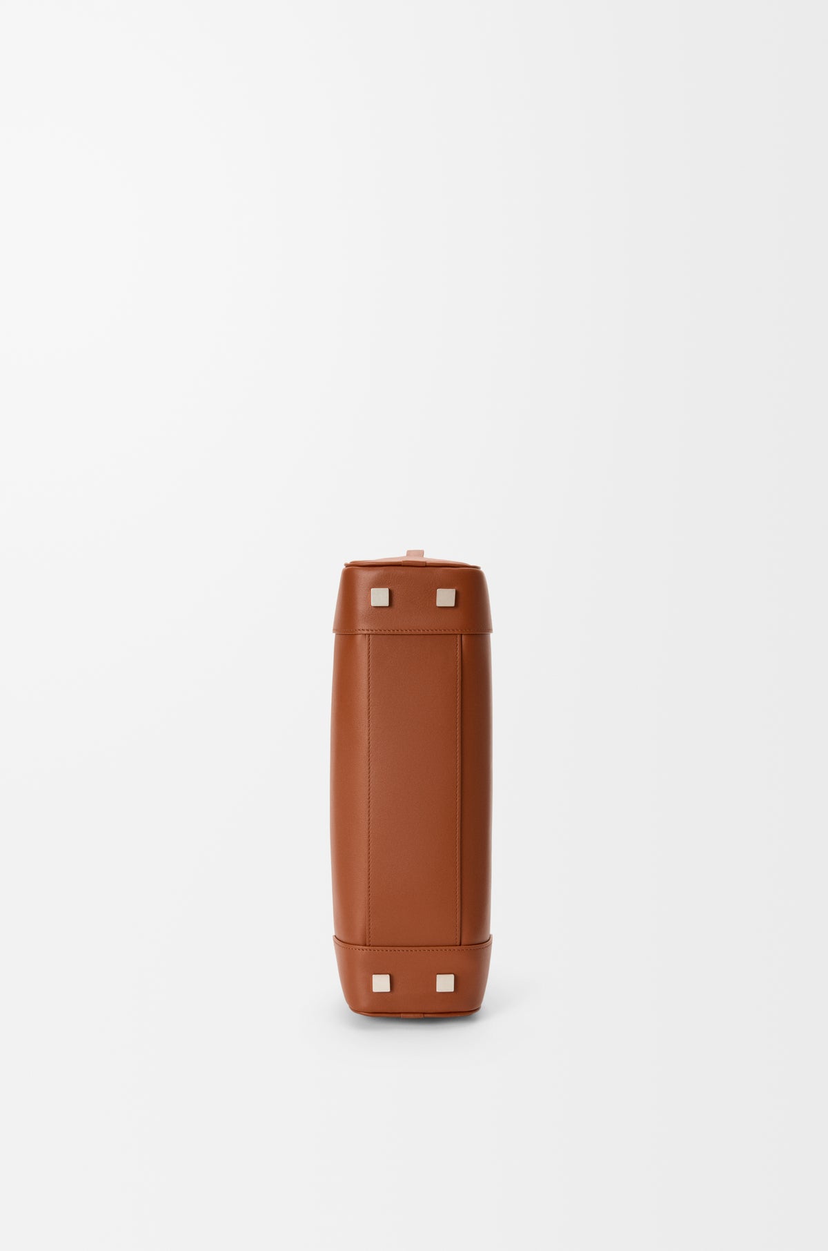 Loewe Amazona 31 cropped bag in shiny calfskin