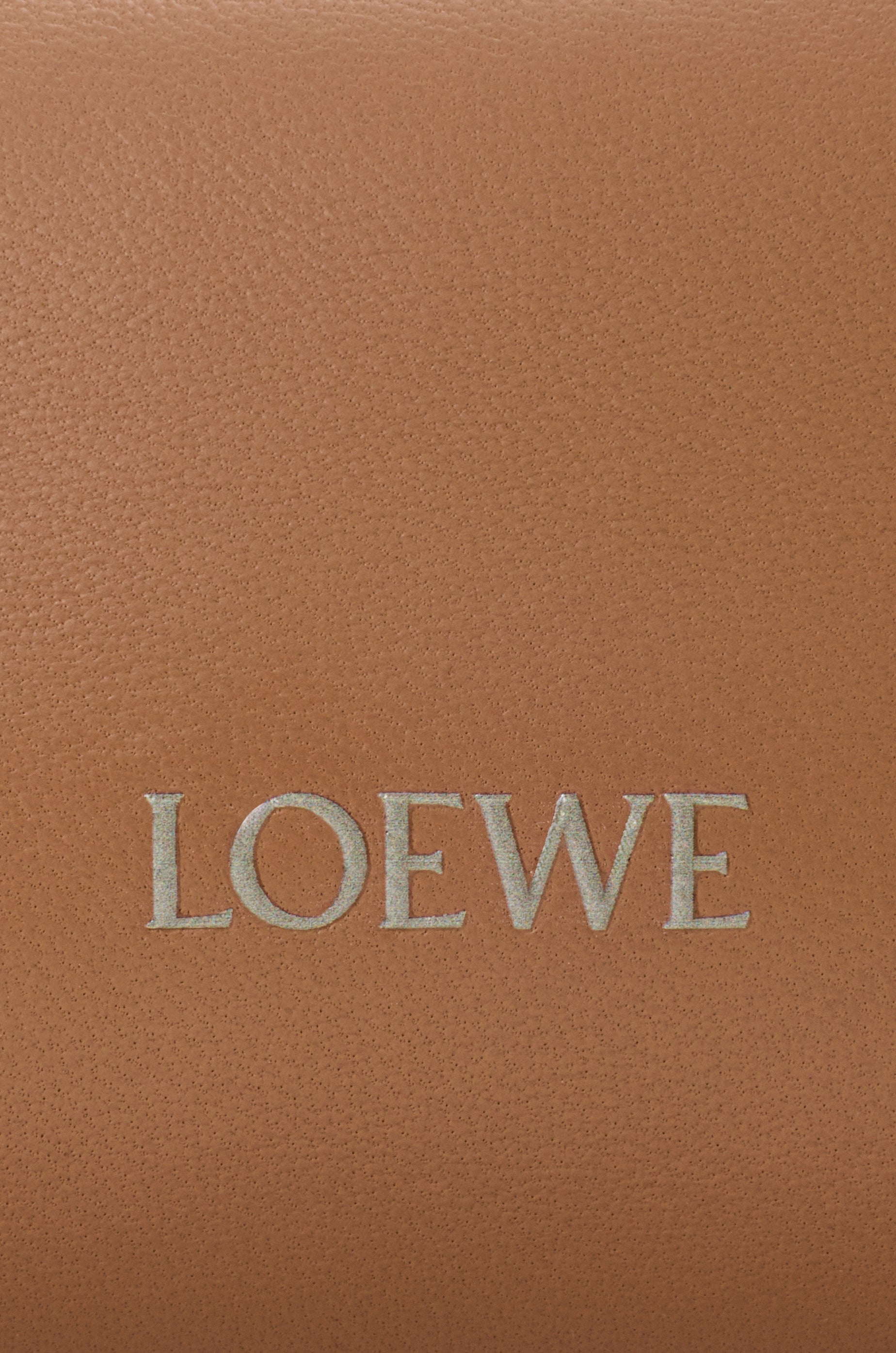 Loewe Cala mini bag in mellow nappa lambskin